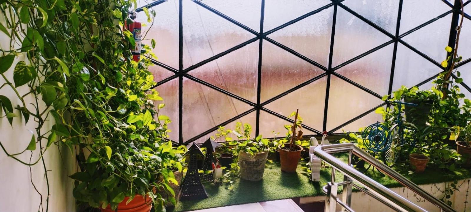 Rangbaari Stays & Cafe جودبور المظهر الخارجي الصورة